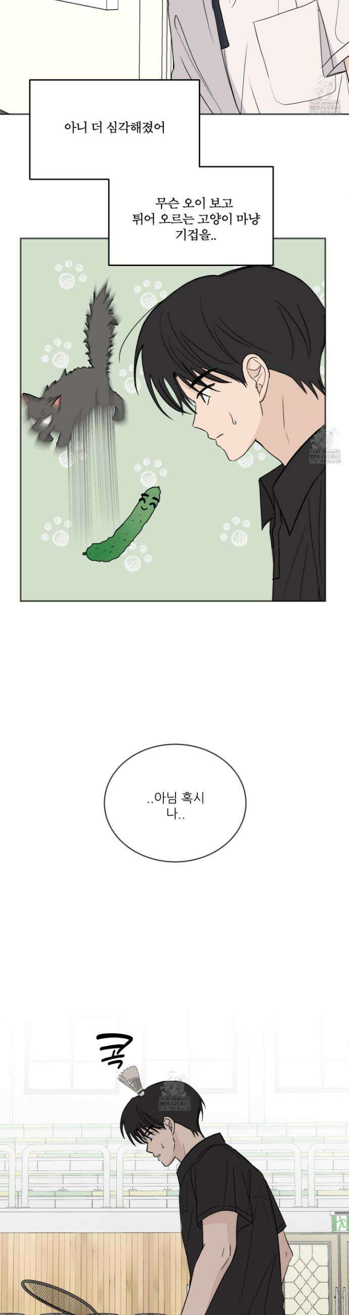 행방불명 로맨스 55화(외전 2화) 19