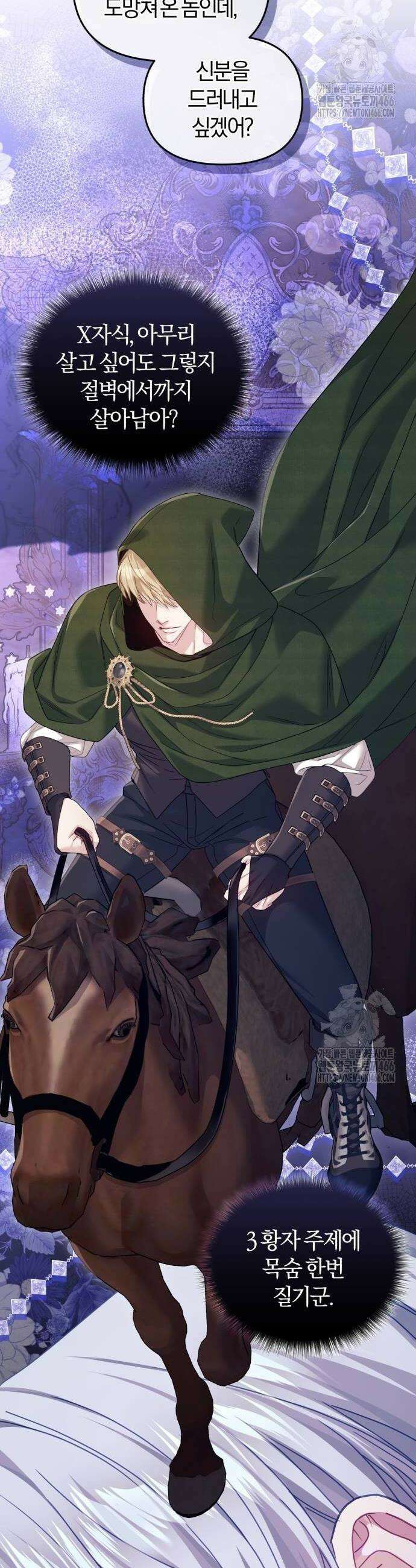 대리 황후지만 첫날밤을 보내버렸다 32화 12