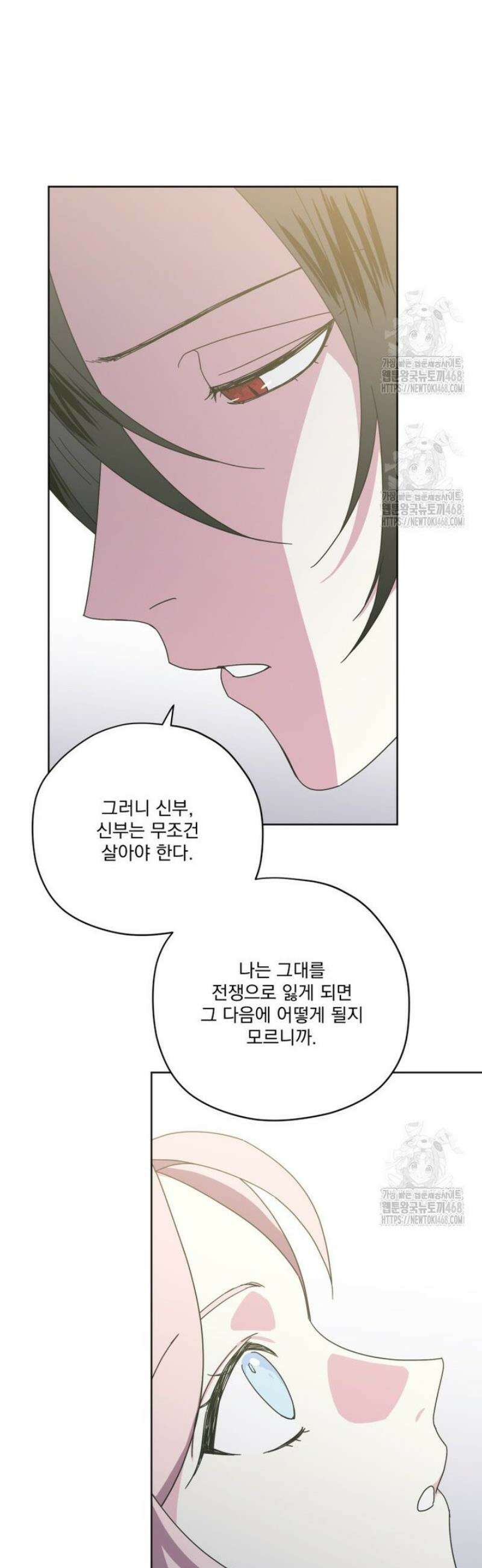 치트라 258화 7