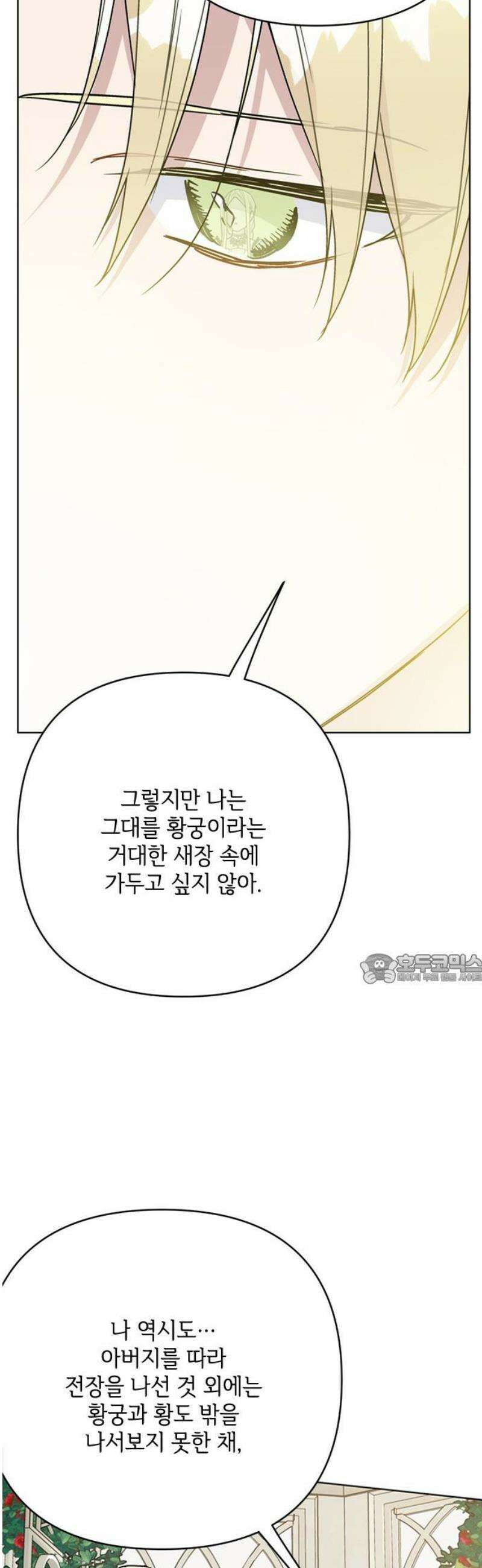 그 기사가 레이디로 사는 법 외전 6 : 운명적 사랑 45