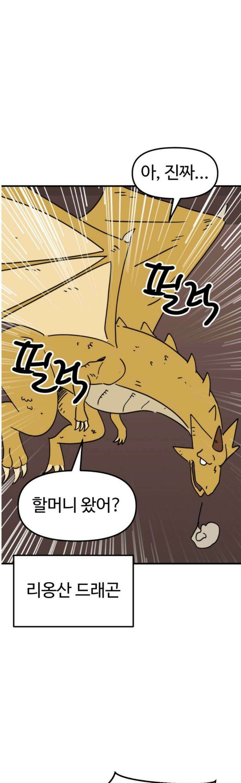 뼈왕 107． 리옹산 드래곤 40