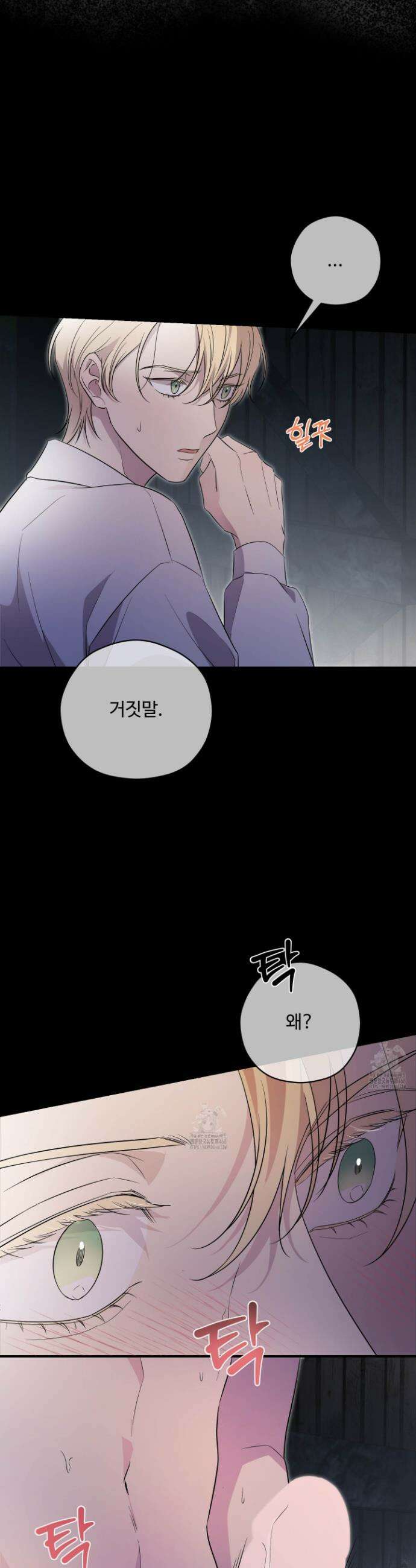 오윈 백작의 절륜 노예 3화 18