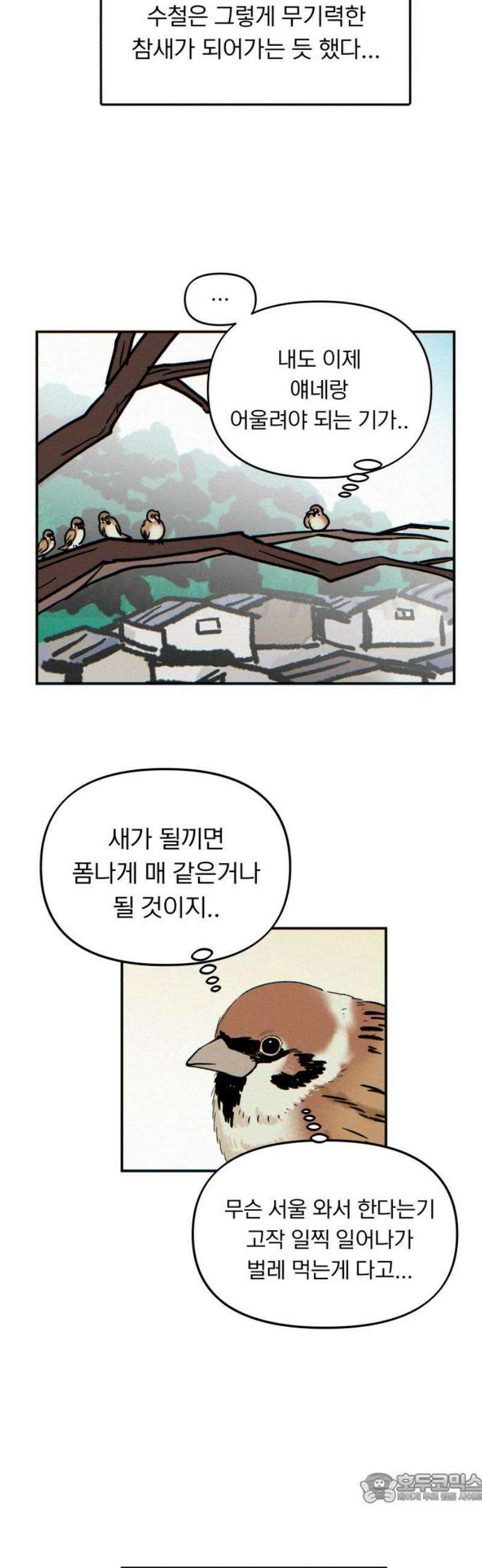 성북구 비둘기 이헌서 54화) 참새 수철(2) 4