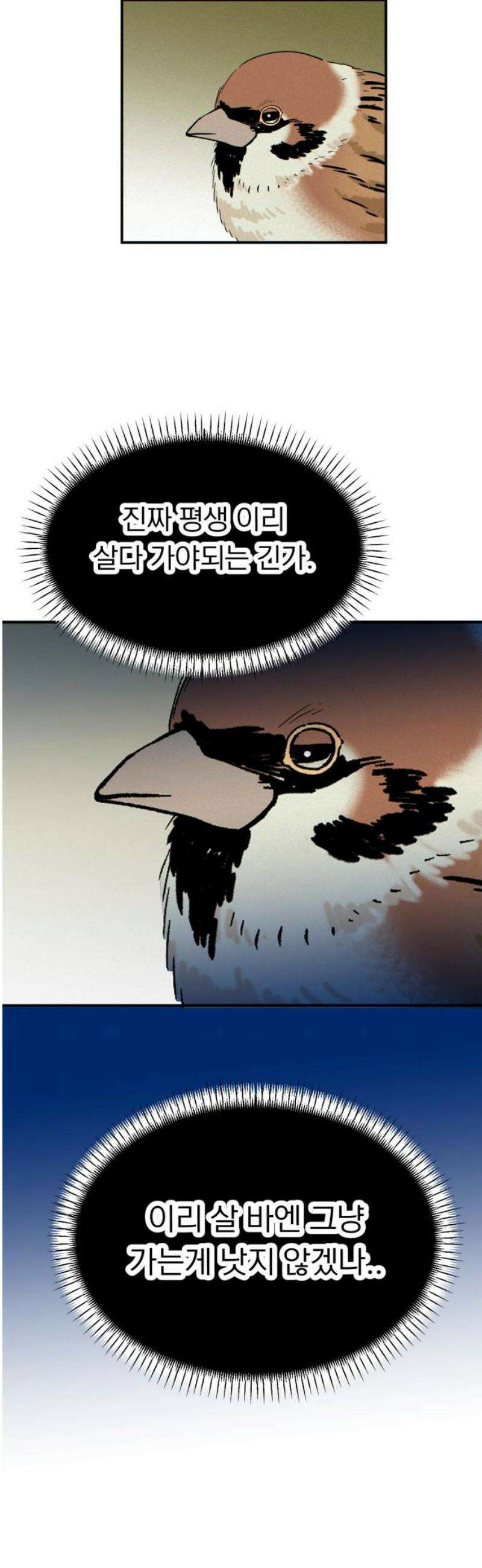 성북구 비둘기 이헌서 54화) 참새 수철(2) 5