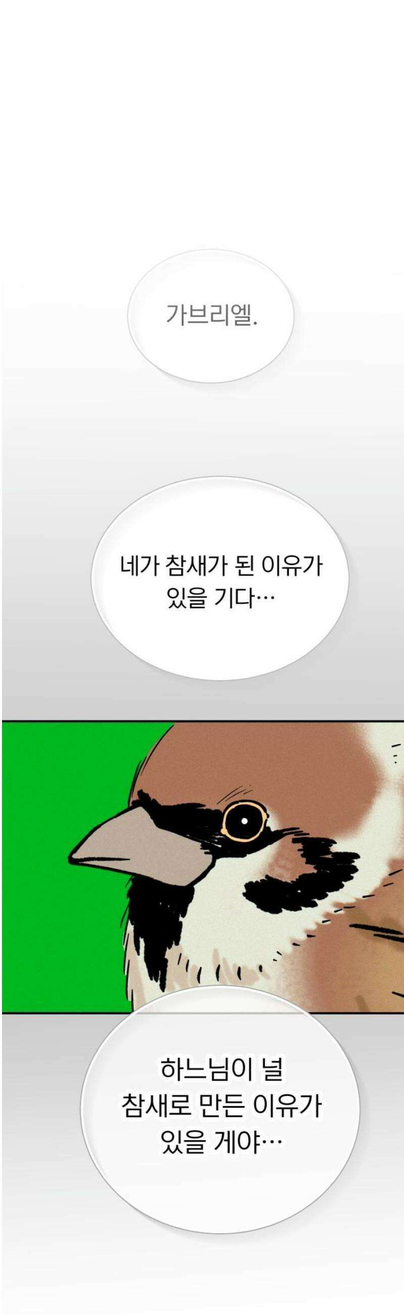 성북구 비둘기 이헌서 54화) 참새 수철(2) 6