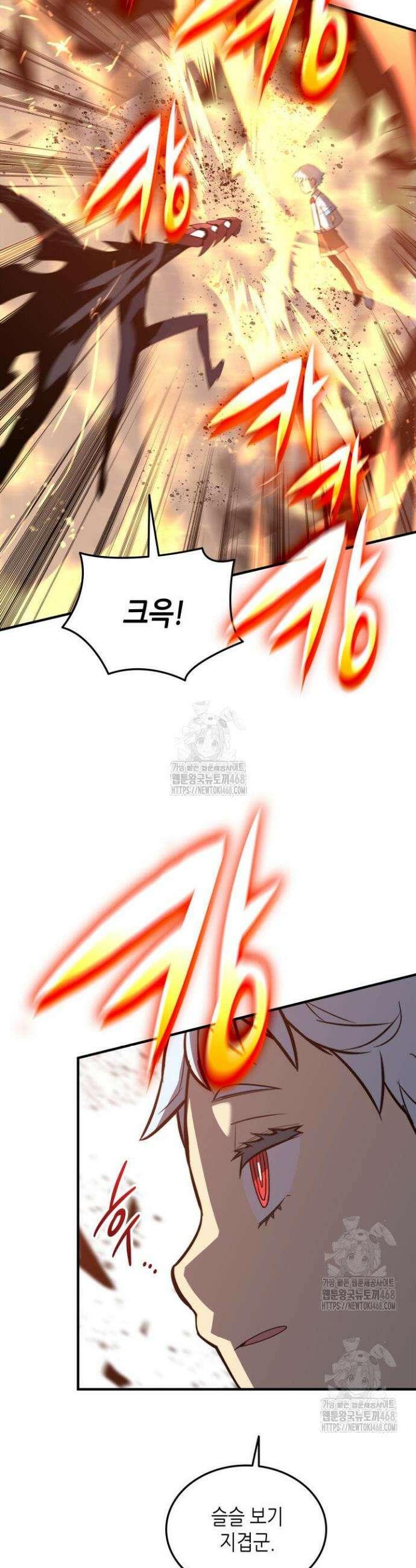닳고닳은 뉴비 242화(최종 완결) 6