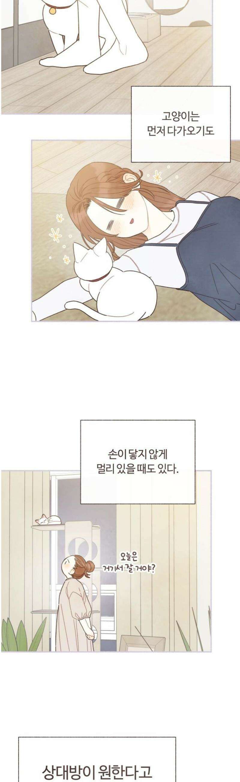 감정전이 55화 스무 살, 첫 연애 (5) 3