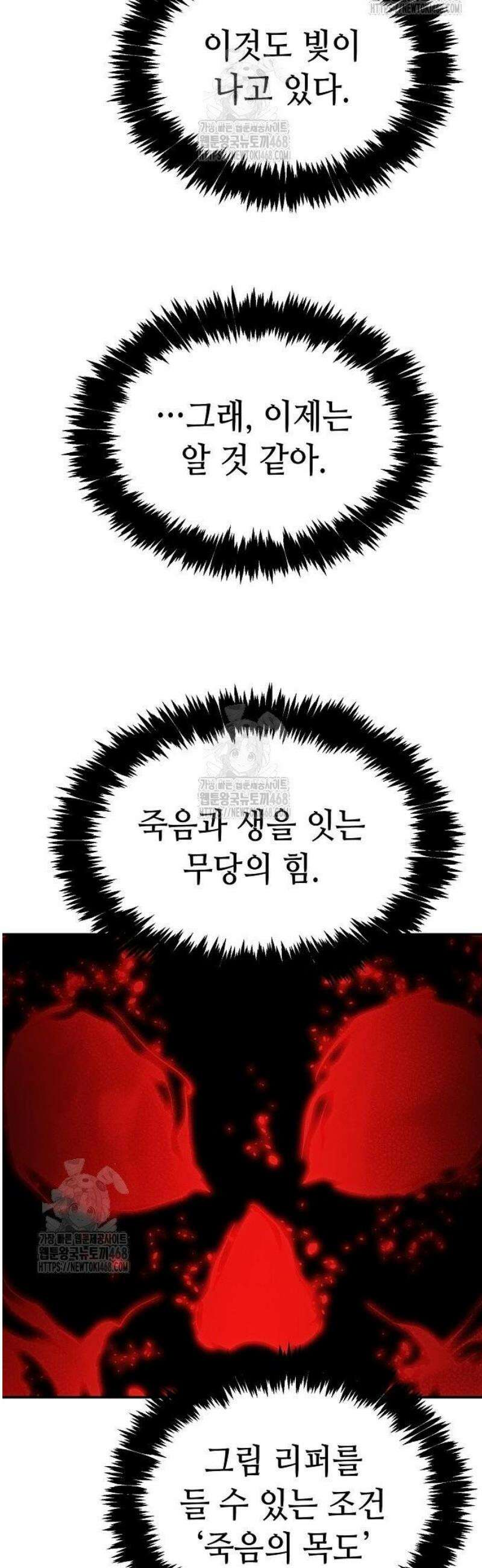 나 혼자 네크로맨서 205화 - 마왕과 용사와 무당 - 3 39