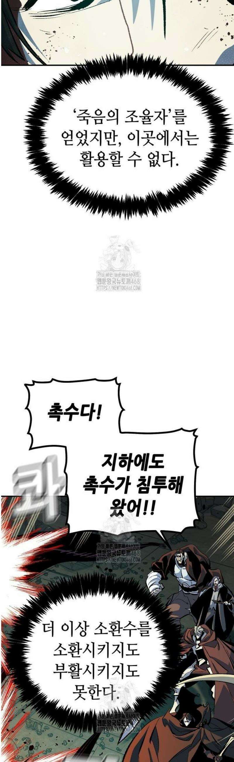 나 혼자 네크로맨서 205화 - 마왕과 용사와 무당 - 3 57