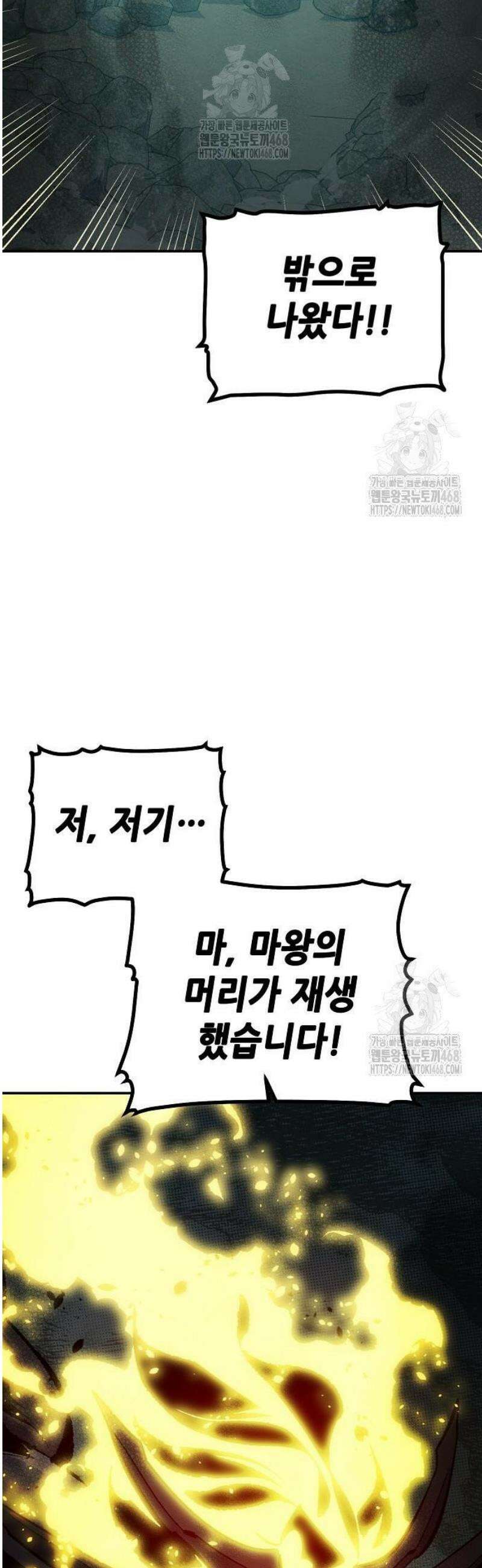 나 혼자 네크로맨서 205화 - 마왕과 용사와 무당 - 3 60