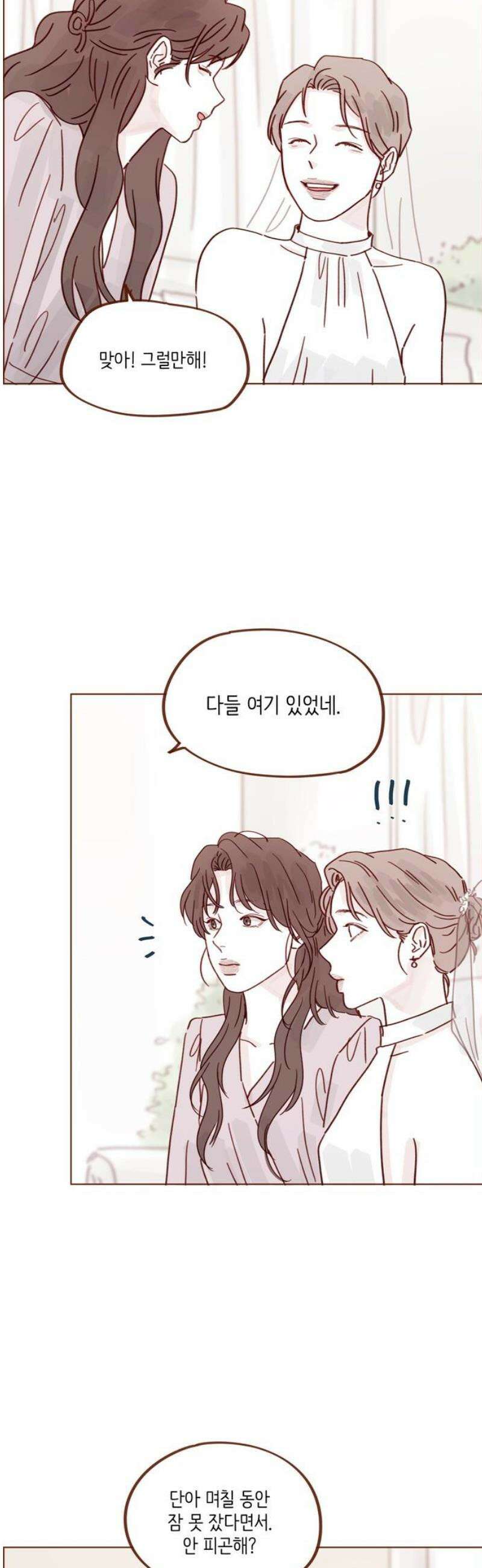홍시는 날 좋아해 341화 : 우리 이게 얼마 만이더라 12