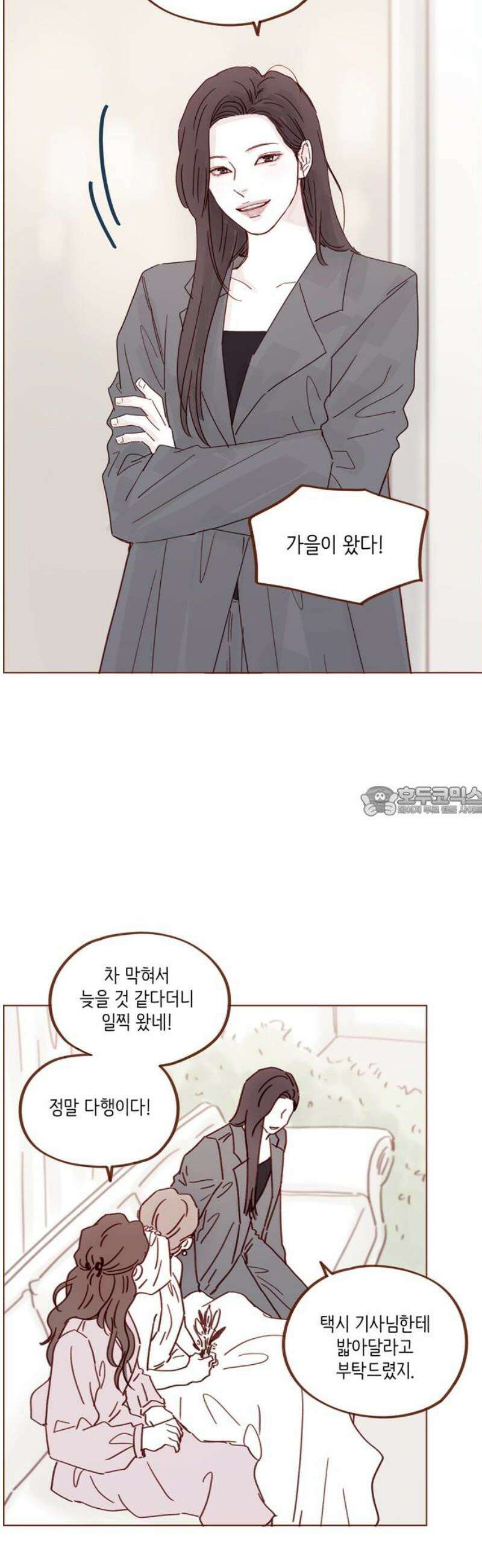 홍시는 날 좋아해 341화 : 우리 이게 얼마 만이더라 13