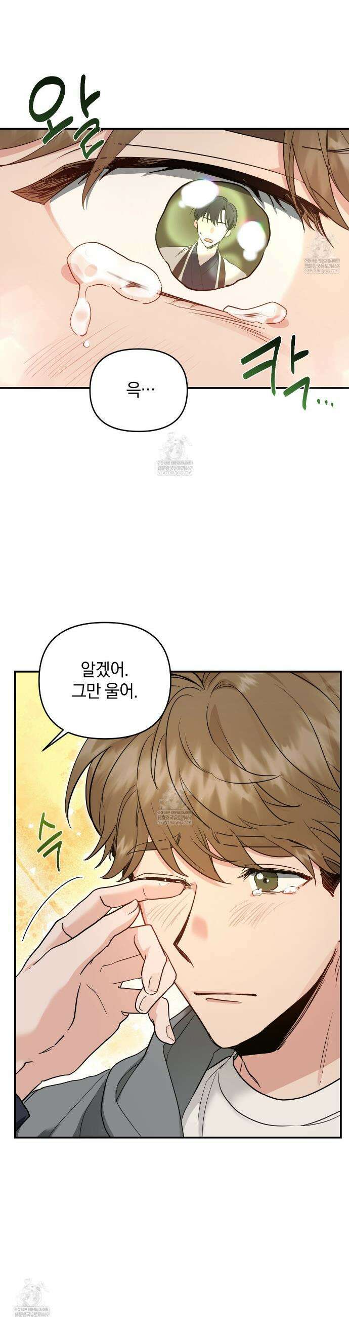 공진단 먹고 나의 알파 시대 시작됐다 1화 5