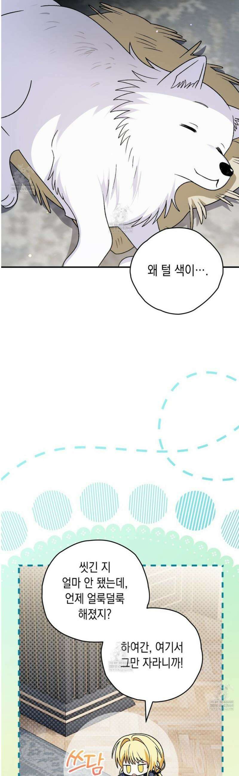 사랑하는 나의 늑대에게 17화 2