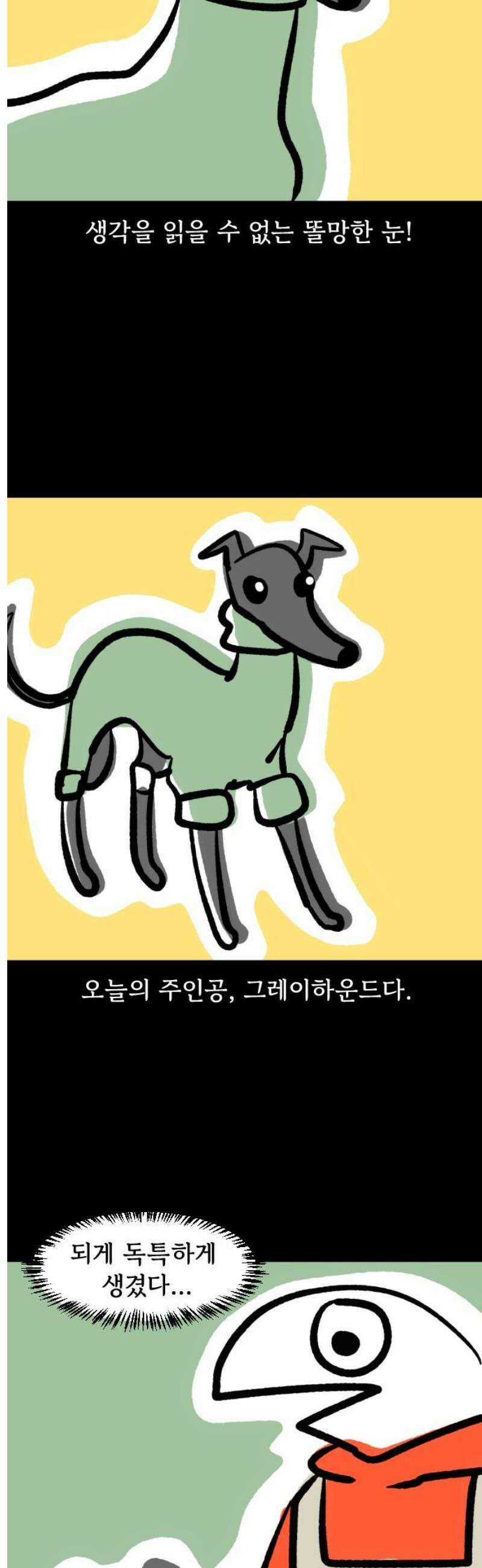 개집사 139화: 알바 특집?견종특집? -그레이하운드편 3