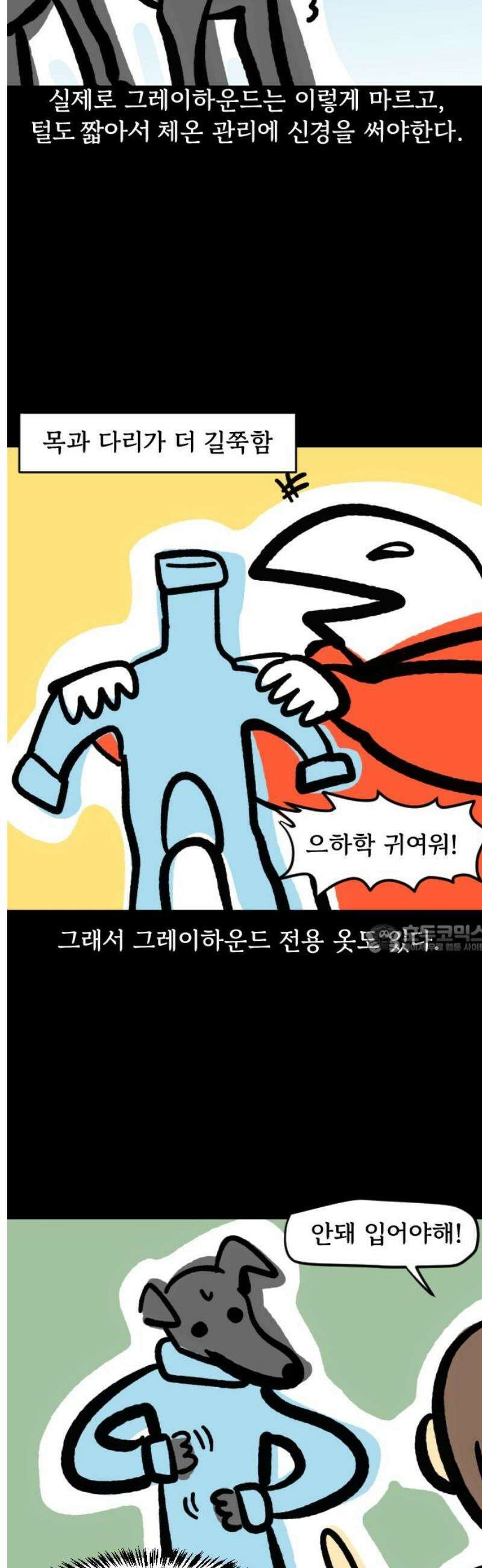 개집사 139화: 알바 특집?견종특집? -그레이하운드편 8