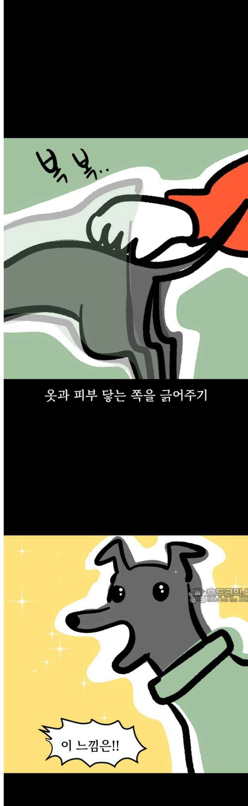 개집사 139화: 알바 특집?견종특집? -그레이하운드편 10