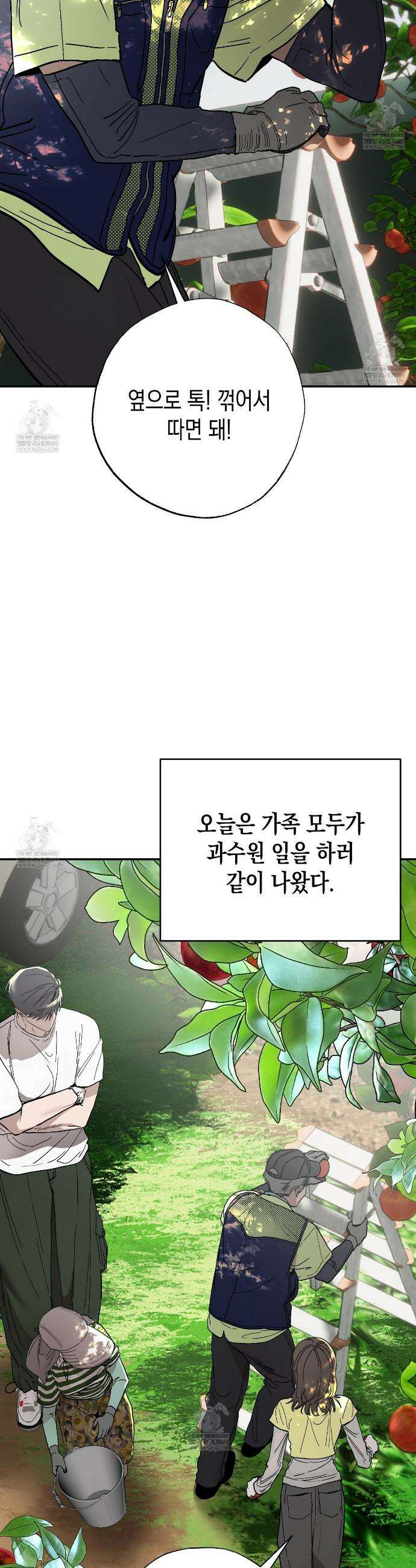 과수원의 사정 10화 2