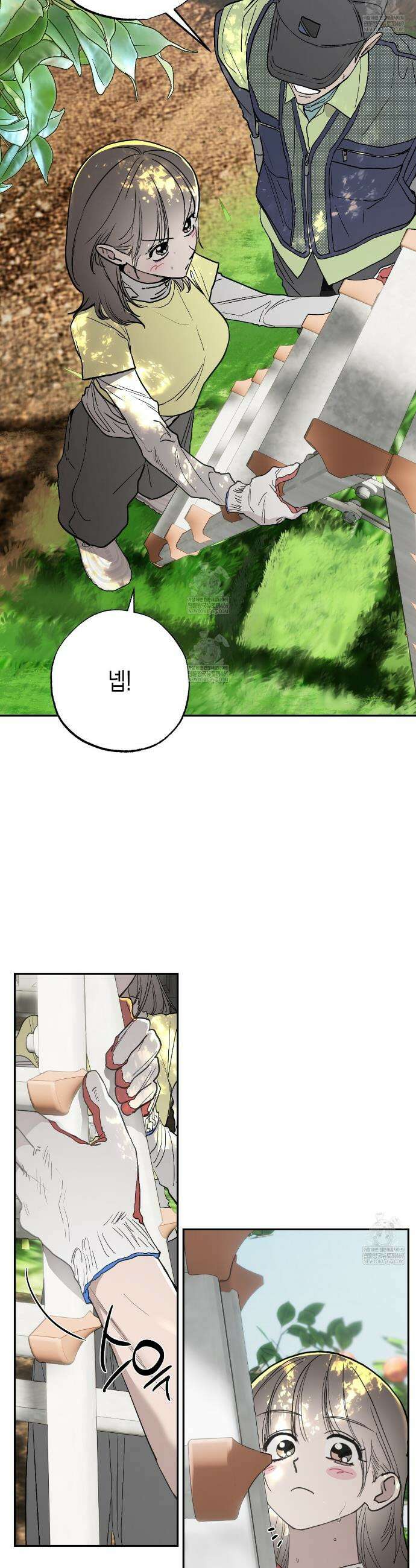 과수원의 사정 10화 6