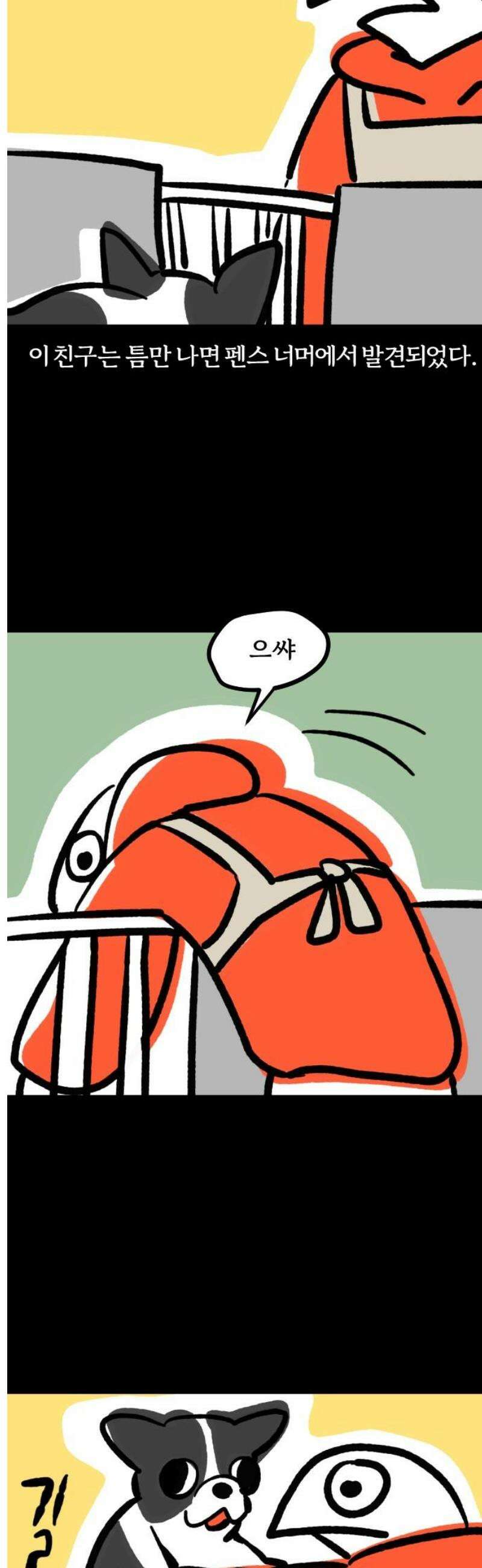 개집사 142화: 알바 일지?견종 특집?-보스턴테리어편 5