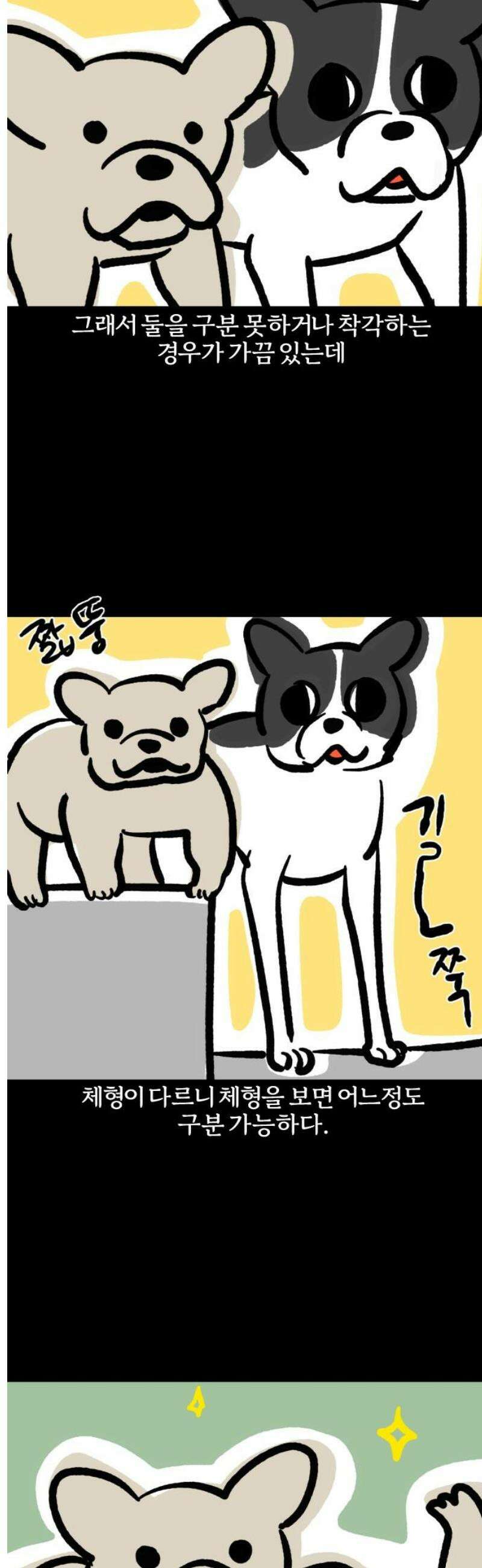 개집사 142화: 알바 일지?견종 특집?-보스턴테리어편 7