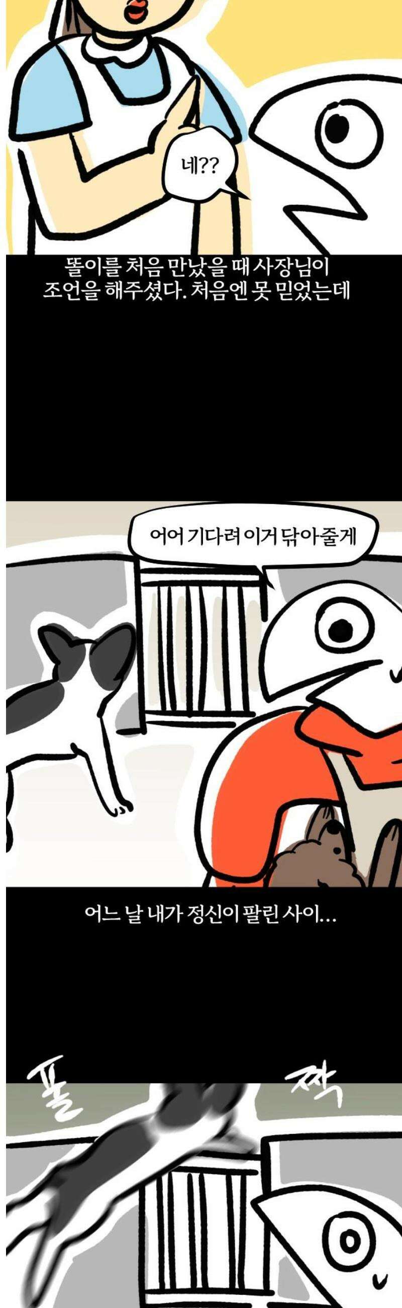 개집사 142화: 알바 일지?견종 특집?-보스턴테리어편 9