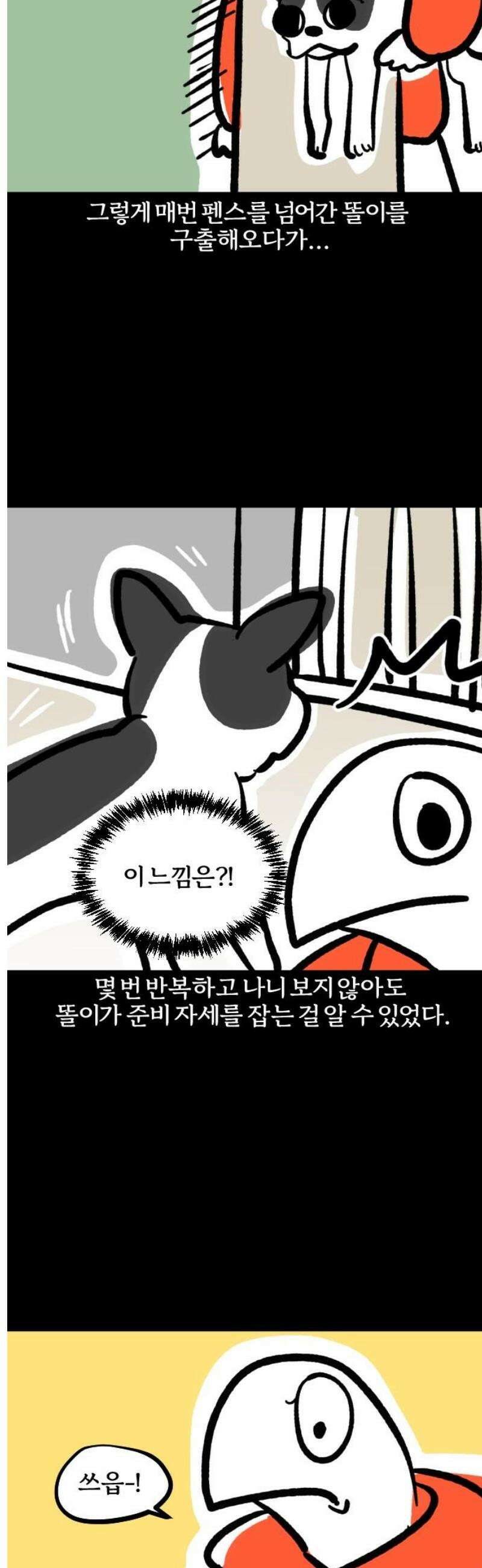 개집사 142화: 알바 일지?견종 특집?-보스턴테리어편 11