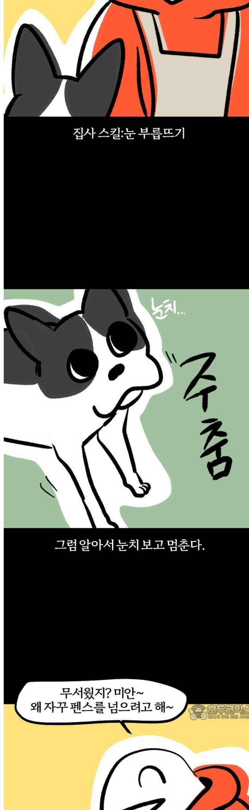개집사 142화: 알바 일지?견종 특집?-보스턴테리어편 12