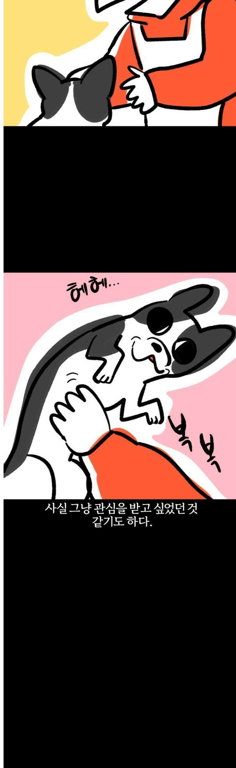 개집사 142화: 알바 일지?견종 특집?-보스턴테리어편 13