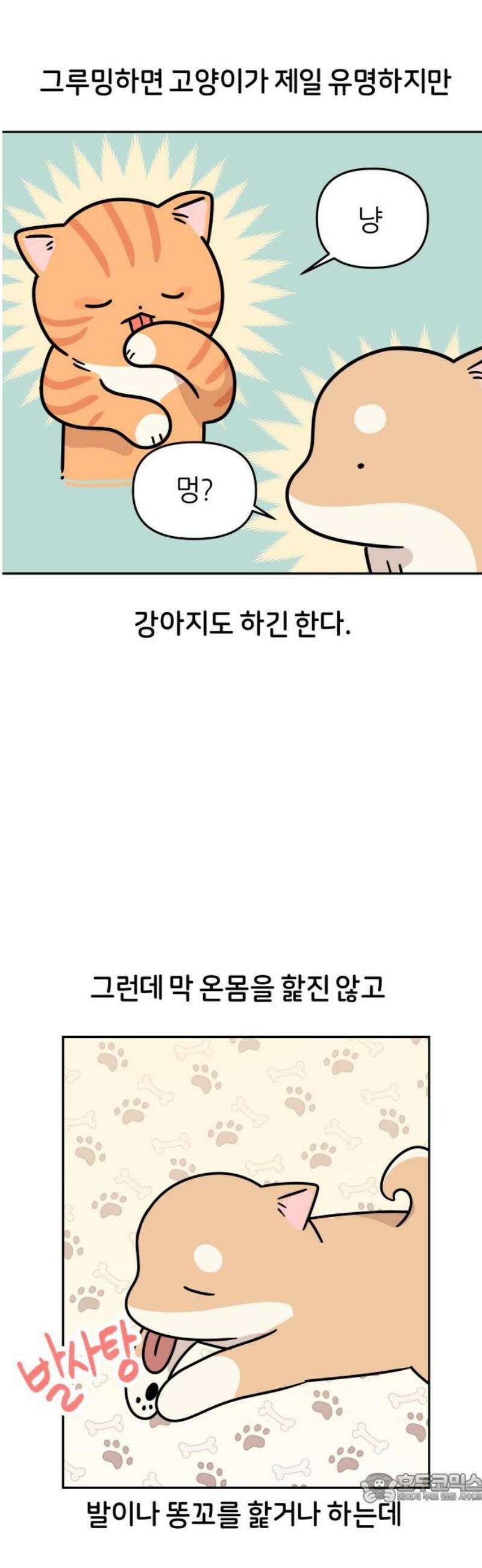 시바, 만만치 않다 74화 바보 강아지 4