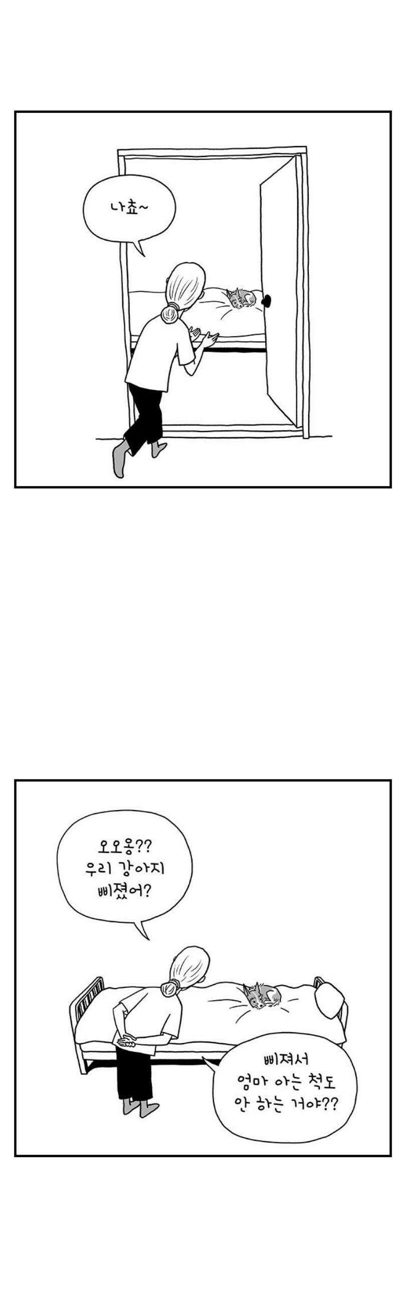 펫로스클럽 ＃11． 그러므로 제 결론은 3
