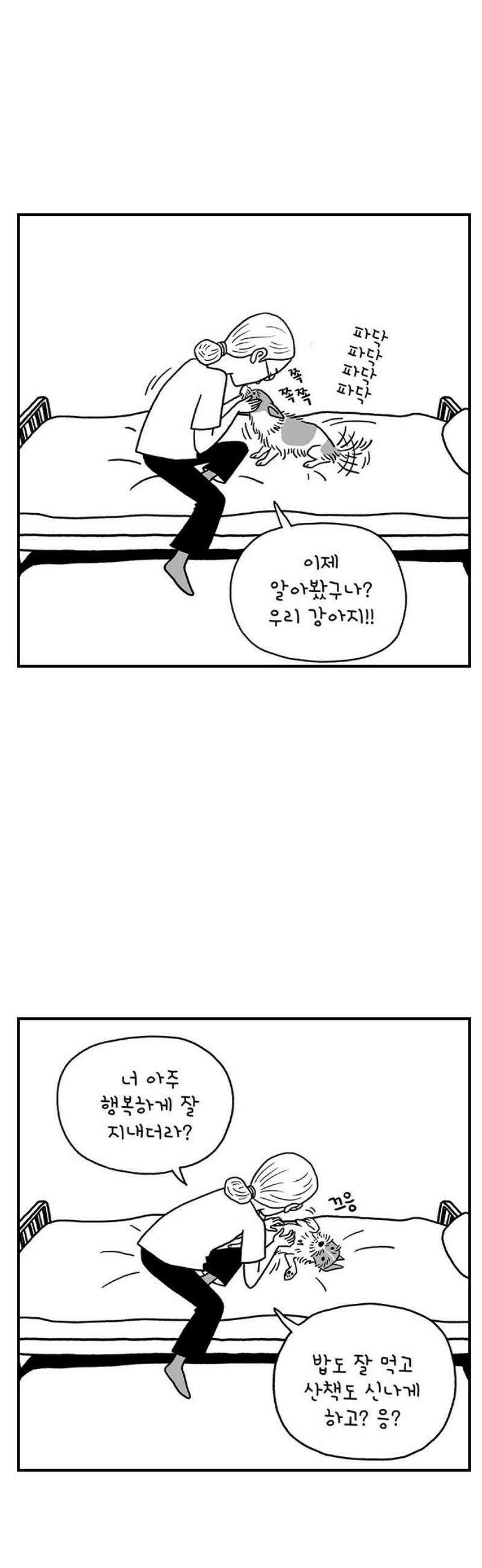 펫로스클럽 ＃11． 그러므로 제 결론은 5