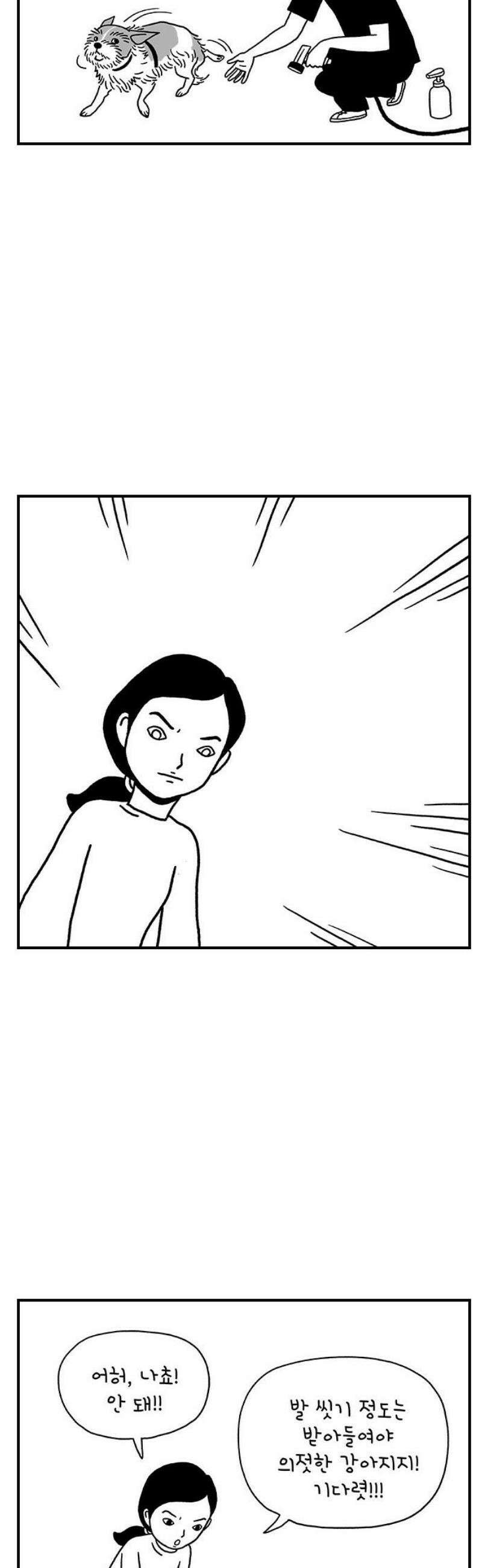 펫로스클럽 ＃11． 그러므로 제 결론은 12