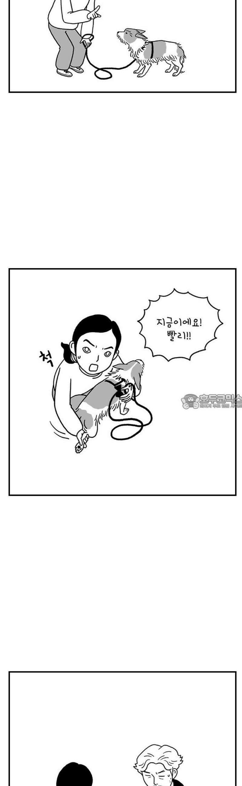 펫로스클럽 ＃11． 그러므로 제 결론은 13