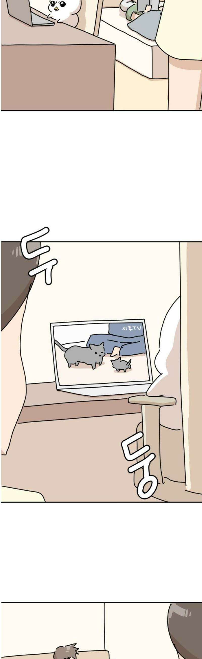 오리짱! 10화 함께 살게 되기까지(10) 55