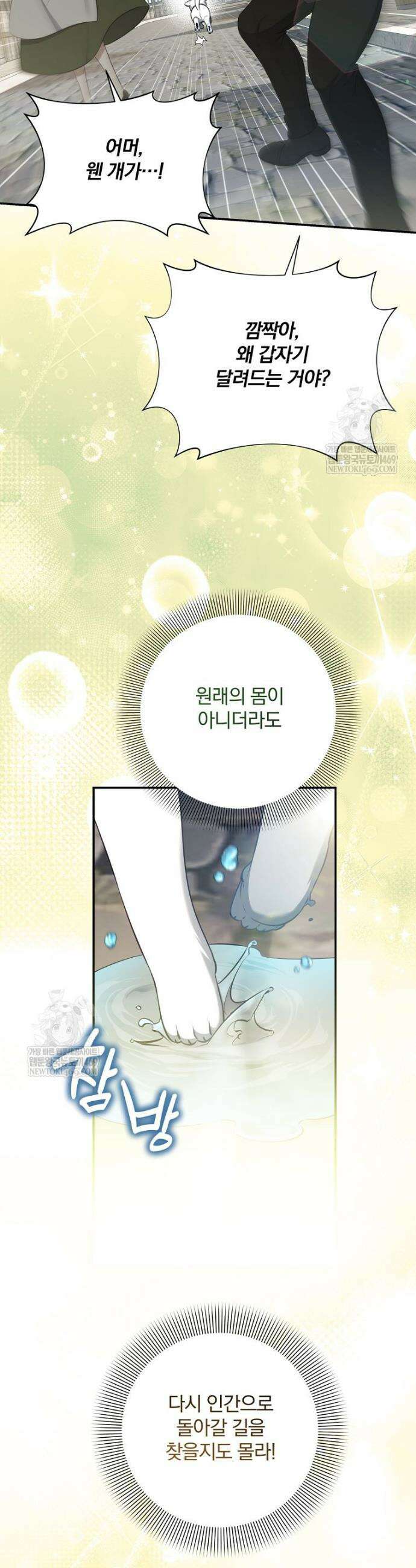 변경백 서자는 황제였다 97화 3