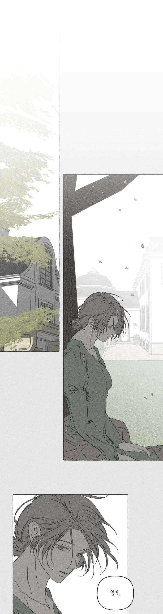 뼈와 꽃잎 71화 1