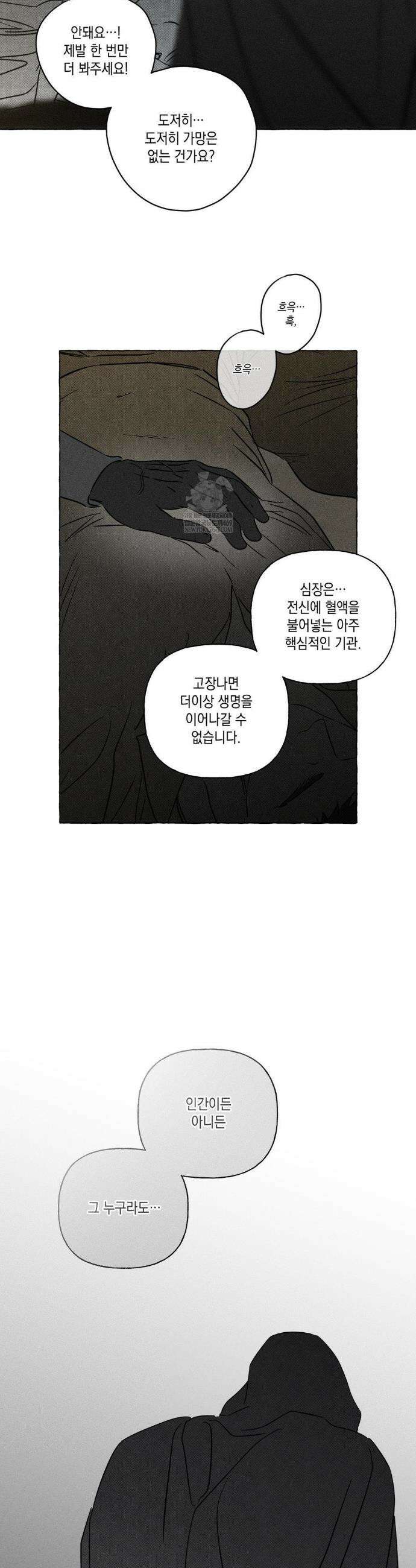 뼈와 꽃잎 71화 32