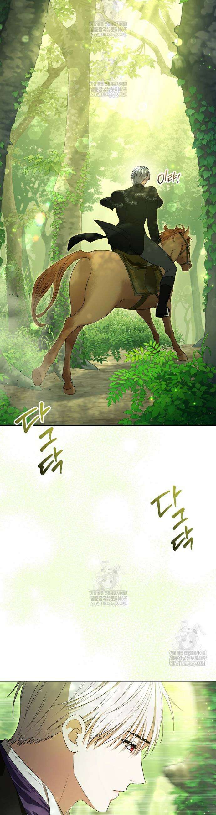 폭군의 시한부 아내가 되었는데 43화 2