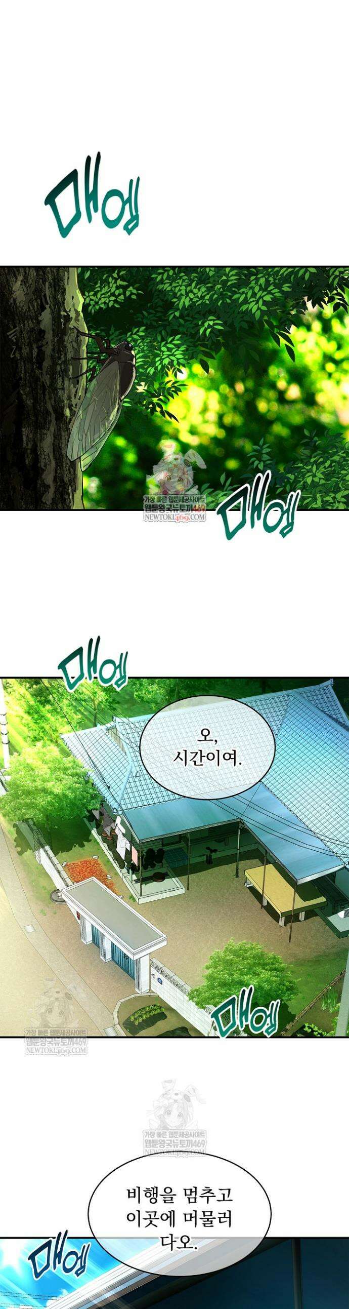 꽃은 미끼야 33화 1