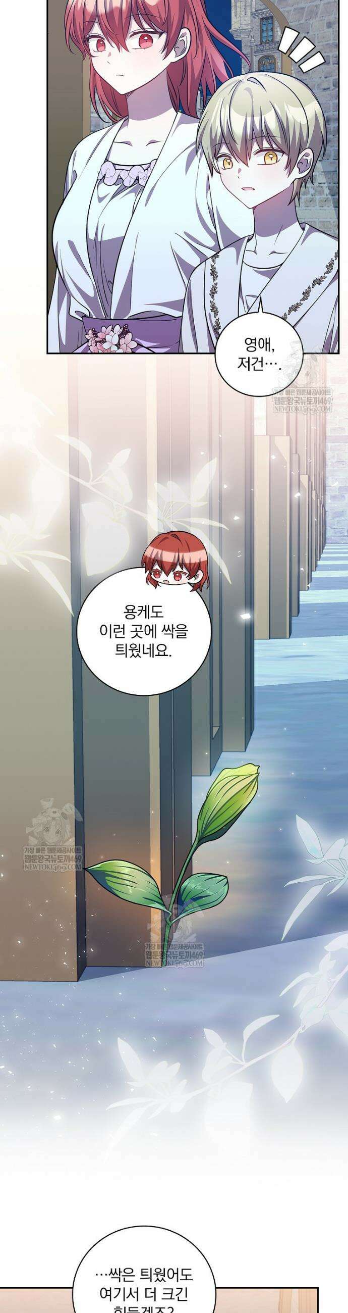 새 오빠를 반품하겠습니다 38화 15