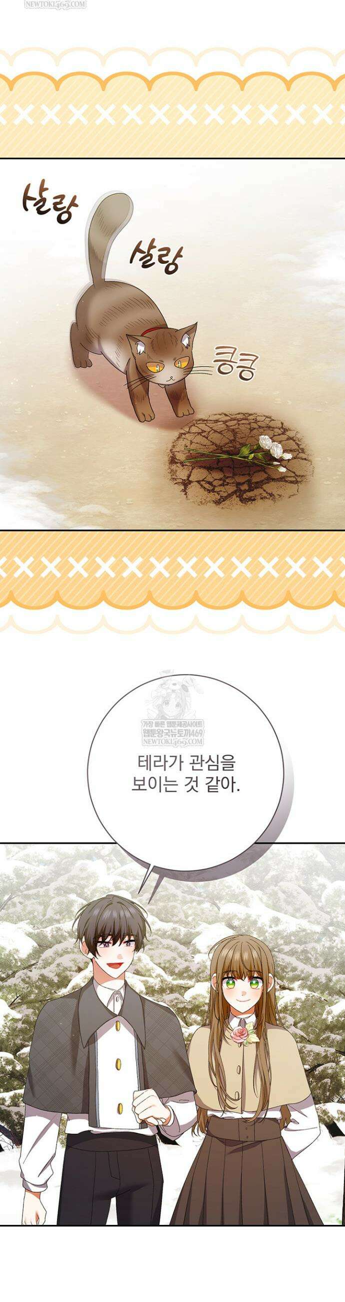 한 줄짜리 영애였을 터 257화 6