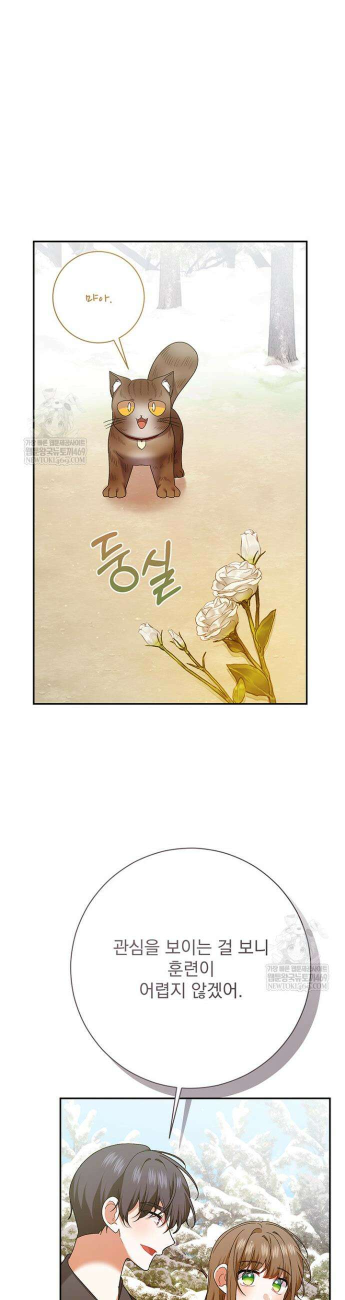 한 줄짜리 영애였을 터 257화 8