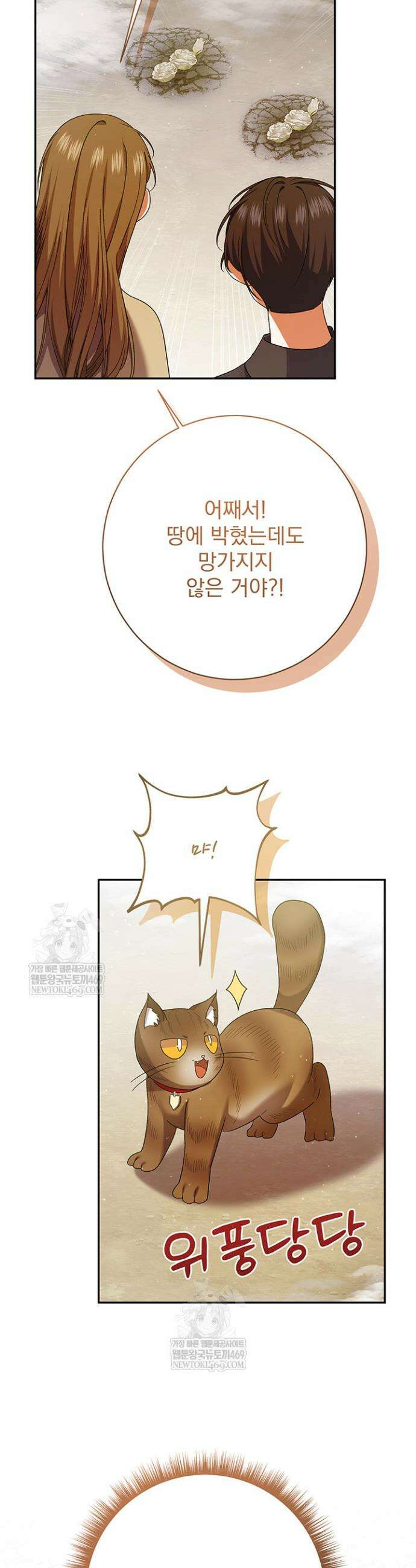 한 줄짜리 영애였을 터 257화 12