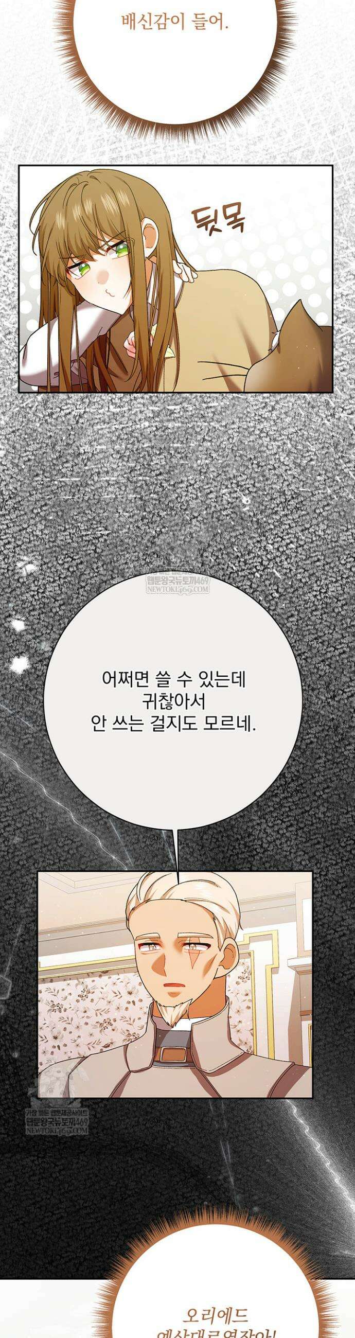 한 줄짜리 영애였을 터 257화 13