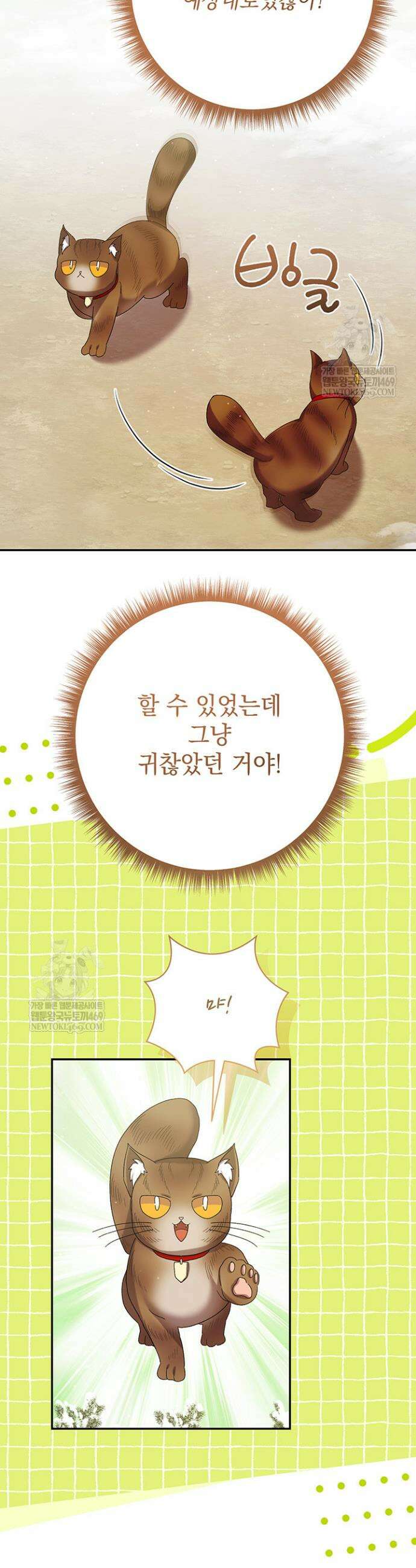 한 줄짜리 영애였을 터 257화 14