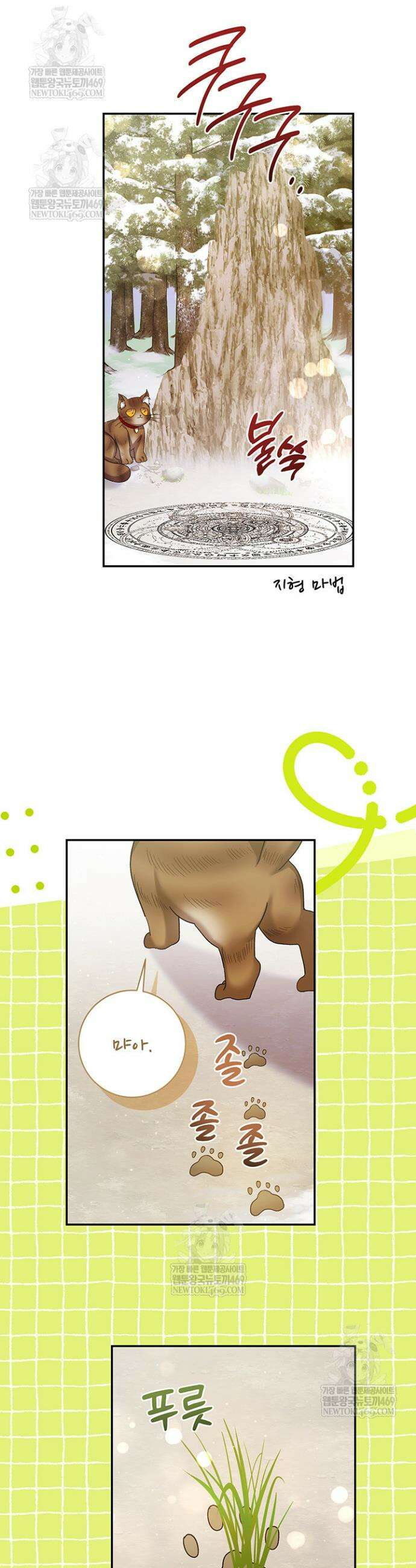 한 줄짜리 영애였을 터 257화 15