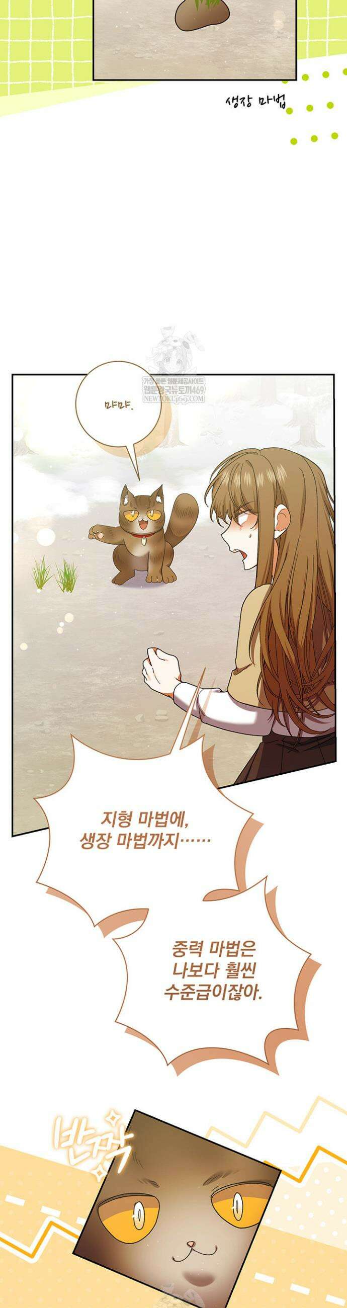 한 줄짜리 영애였을 터 257화 16