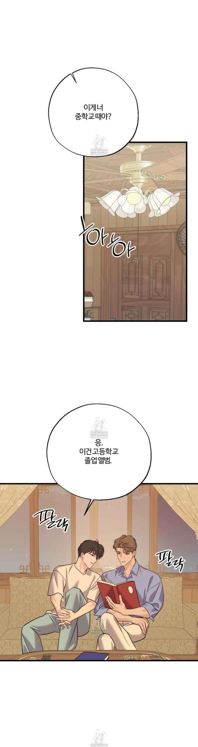 임시 연애 경보 44화 21