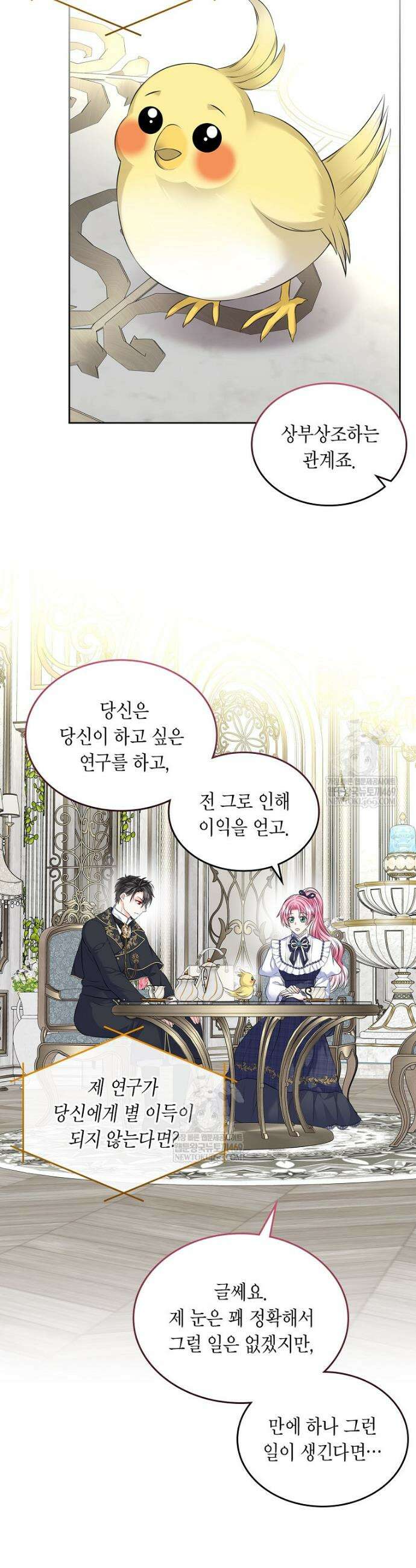 여주의 시스콤 오빠와 이혼하겠습니다 99화 17